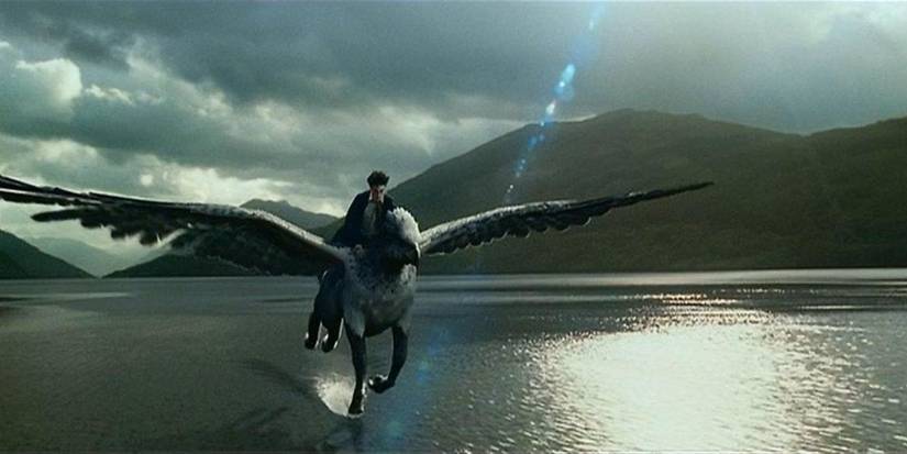 Harry Potter rides on the back of Buckbeak the hippogriff