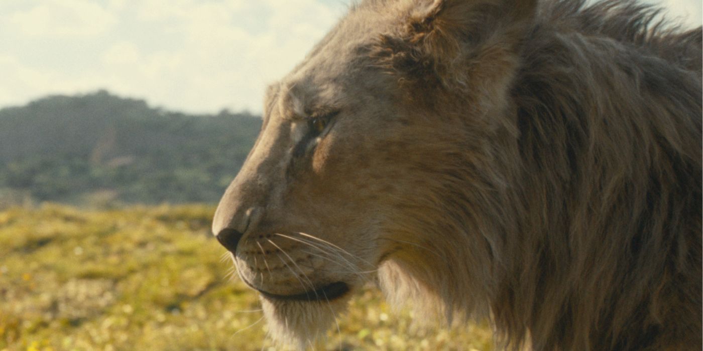 Taka the lion looks deep in thought, standing on an open plane in Mufasa.