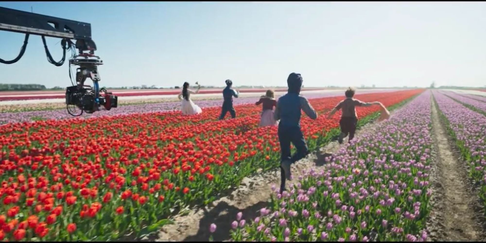 “Wicked” Tulip Farm 9 million flowers