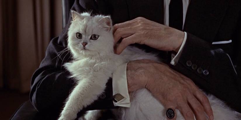 An unseen Ernst Stavro Blofeld (Anthony Dawson) stroking his white cat in 'From Russia with Love'