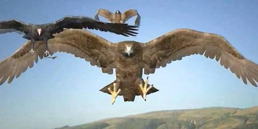 Three birds of prey with large talons flying in 'Birdemic: Shock and Terror'.