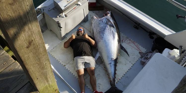 Harpoon Capture Forget ‘Deadliest Catch’ and ‘Wicked Tuna’ — This New Discovery+ Show ...