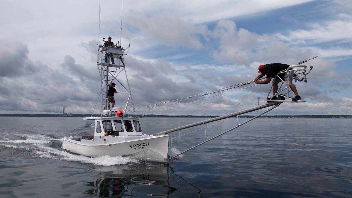 best offshore fishing reels and rods Carbon Elite Nearshore/Offshore Combos How to Disassemble A Offset Reel features Model:DC 807MAG HSB