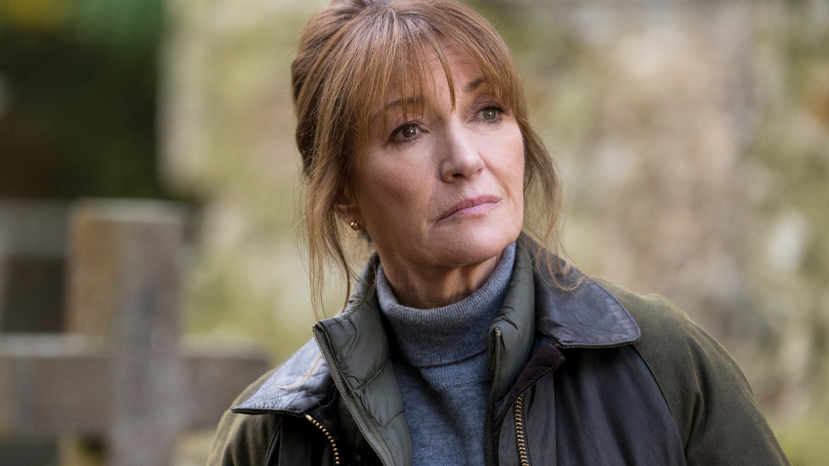 The Fate of Jane Seymour's Irish Mystery Series 'Harry Wild'