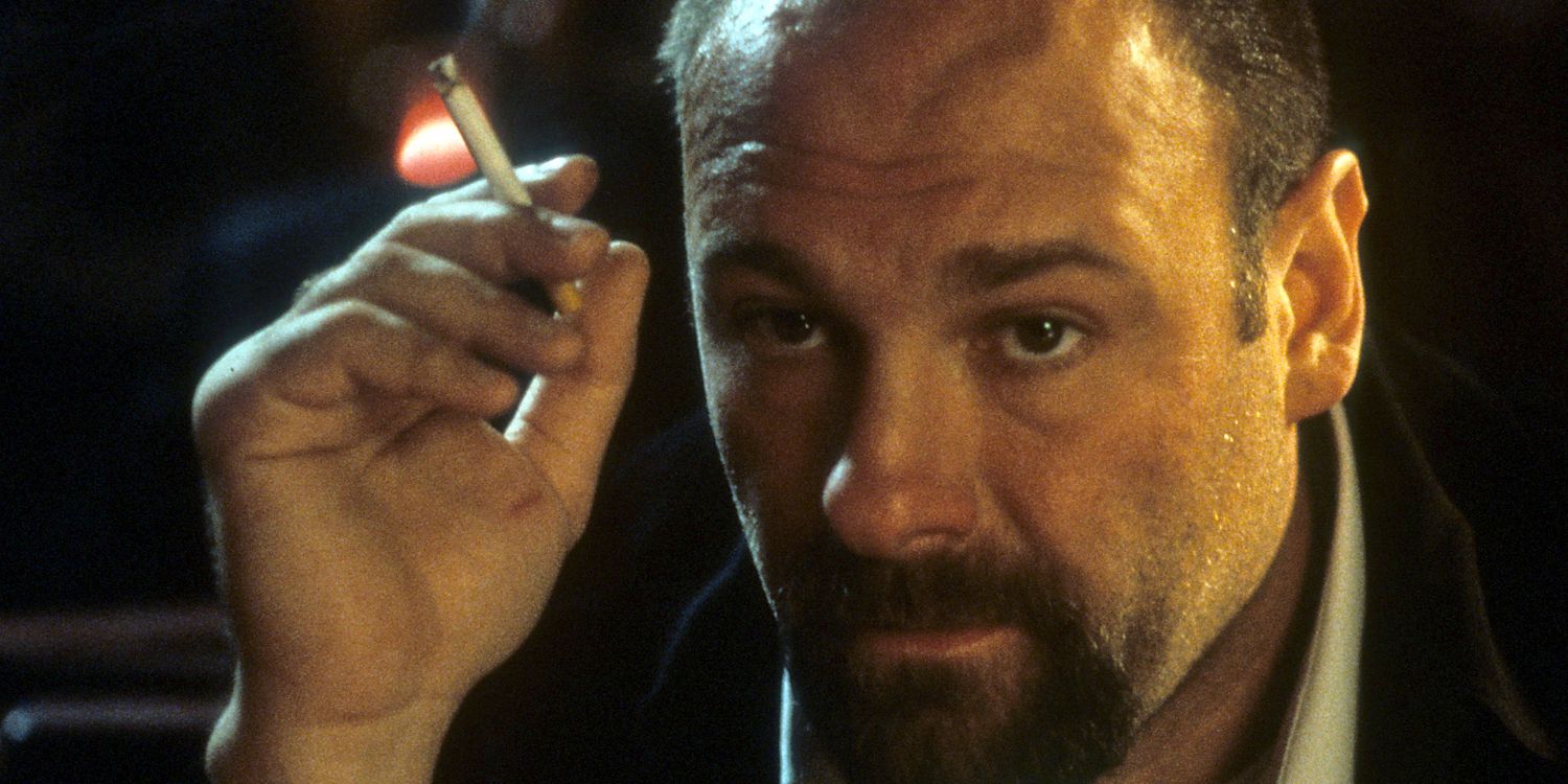 James Gandolfini in 'The Mexican'