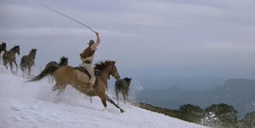 Jim Craig (Tom Burlinson) rounds up some horses in the snow in 'The Man from Snowy River'