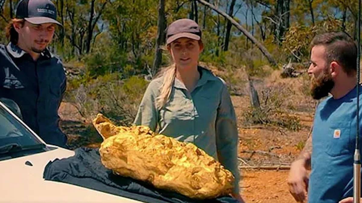 When the Digging Stops on 'Gold Rush,' Is the Land Restored or Simply  Covered Up?