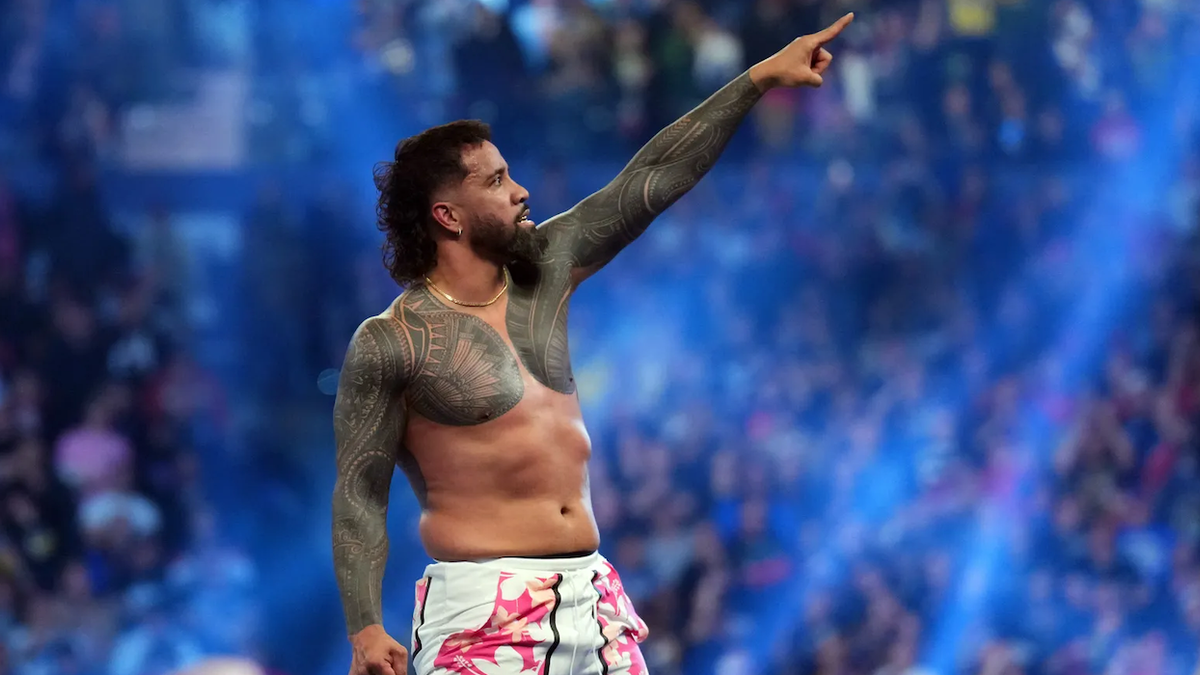 Worldwide Viewing Figures for the Royal Rumble Show Why Netflix Was ...