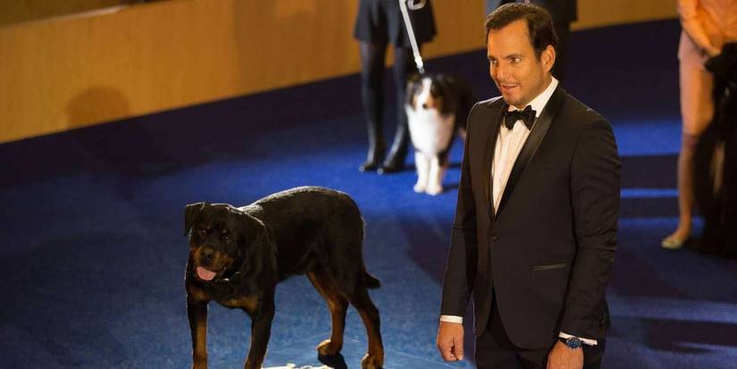 Max The Rottweiler 10 Family Movies That Are Awful From Start to Finish