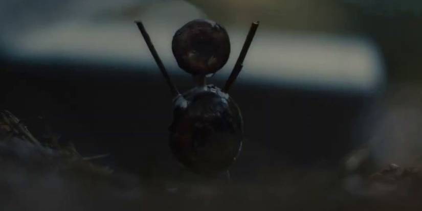 a chestnut doll in the chestnut man