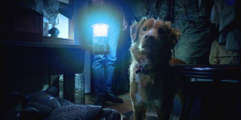 Indy the Dog in Good Boy.