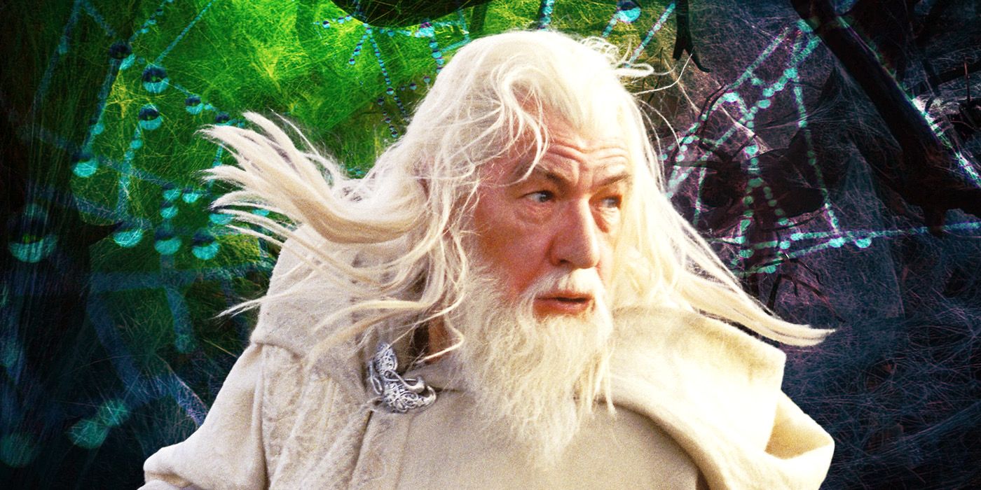 Gandalf the White in front of spiders of Mirkwood
