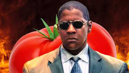 'Taken' Fans Are in for a Treat With Denzel Washington’s Action Thriller With 89% on Rotten Tomatoes (Man on Fire)