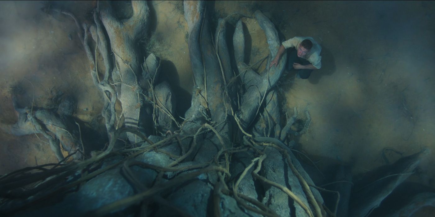 What Is Avendesora? 'The Wheel of Time's Ancient Tree of Life and Its ...