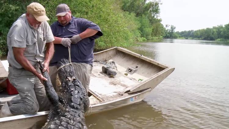 Swamp People' Isn't Just About Gators — It's Fighting To Keep Cajun Culture Alive