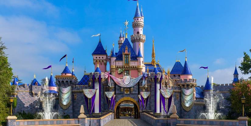 The Disneyland Castle 