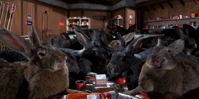A herd of killer rabbits congregate inside a building in Night of the Lepus.