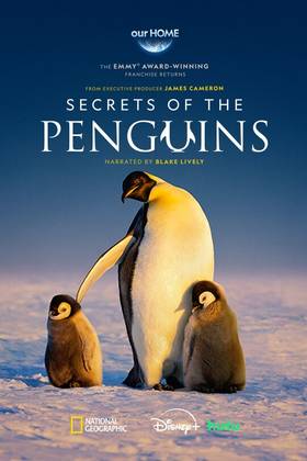 secrets of tne penguins poster