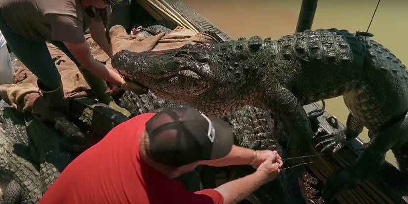 Swamp People' Isn't Just About Gators — It's Fighting To Keep Cajun Culture Alive