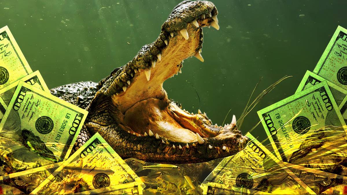 The Amount of Money 'Swamp People' Make Hunting Gators Is a Lot More Complicated Than You Think