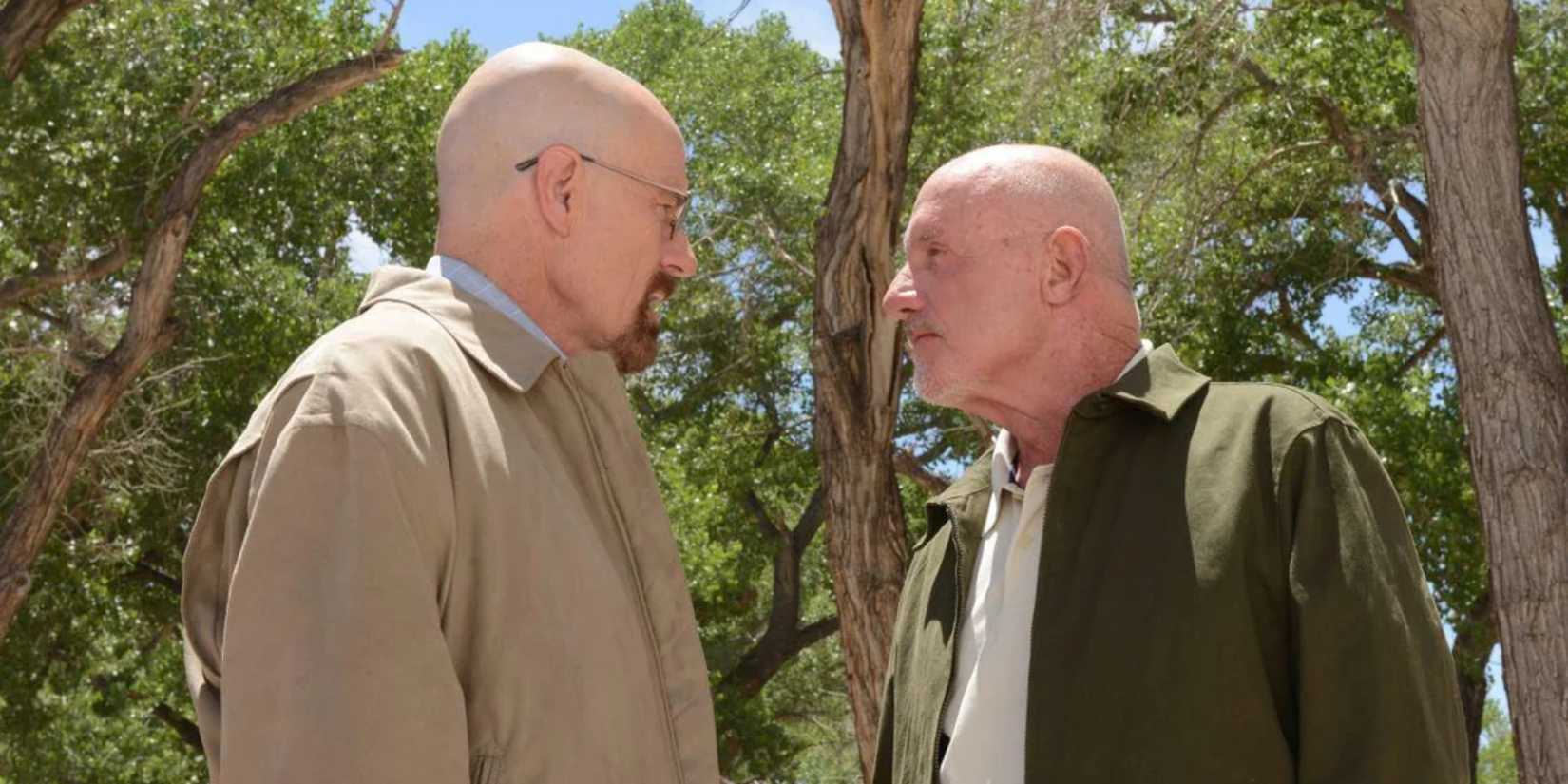 Bryan Cranston and Jonathan Banks talking in the woods in Breaking Bad.