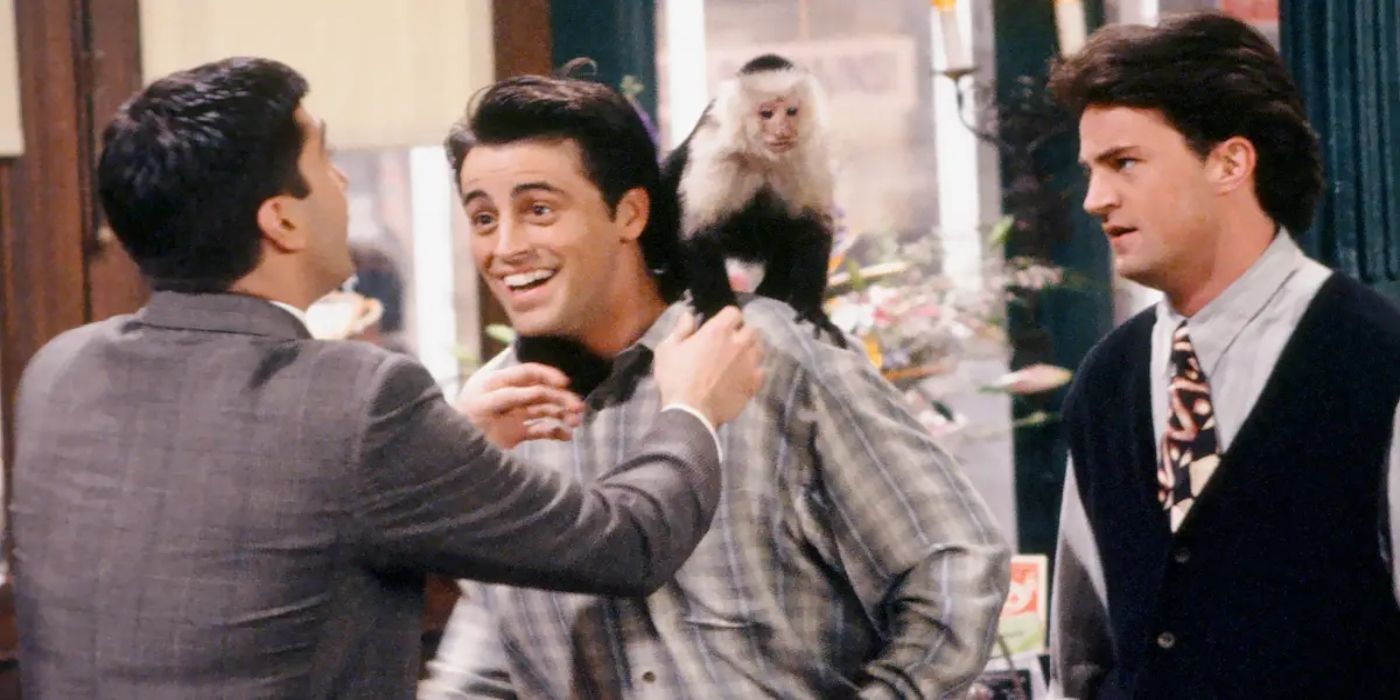 The 'Friends' Cast's Worst Co-Star Appeared in Eight Episodes