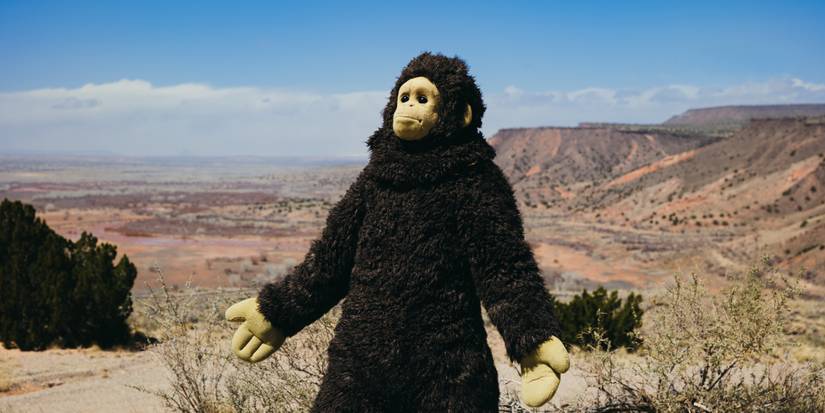 a woman in a monkey suit in Sunlight