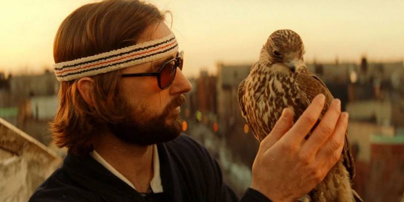 Luke Wilson as Richie with his falcon in 'The Royal Tenenbaums'
