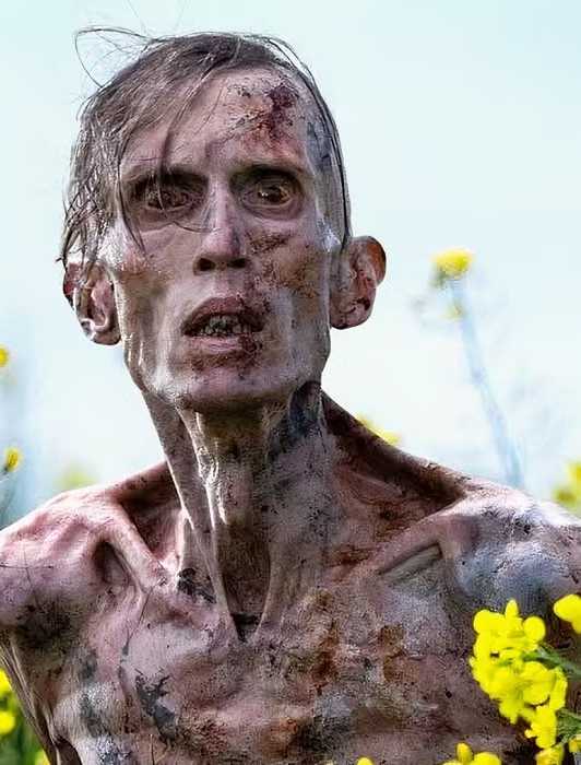 Angus Neil Model 10 Greatest Zombie TV Shows, Ranked According to IMDb