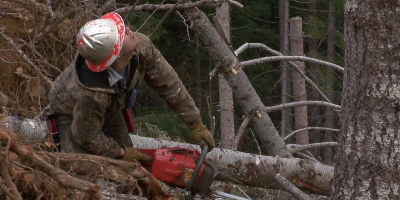 If You’re Into the Chaos of 'Swamp People,' This Gritty History Show Is ...