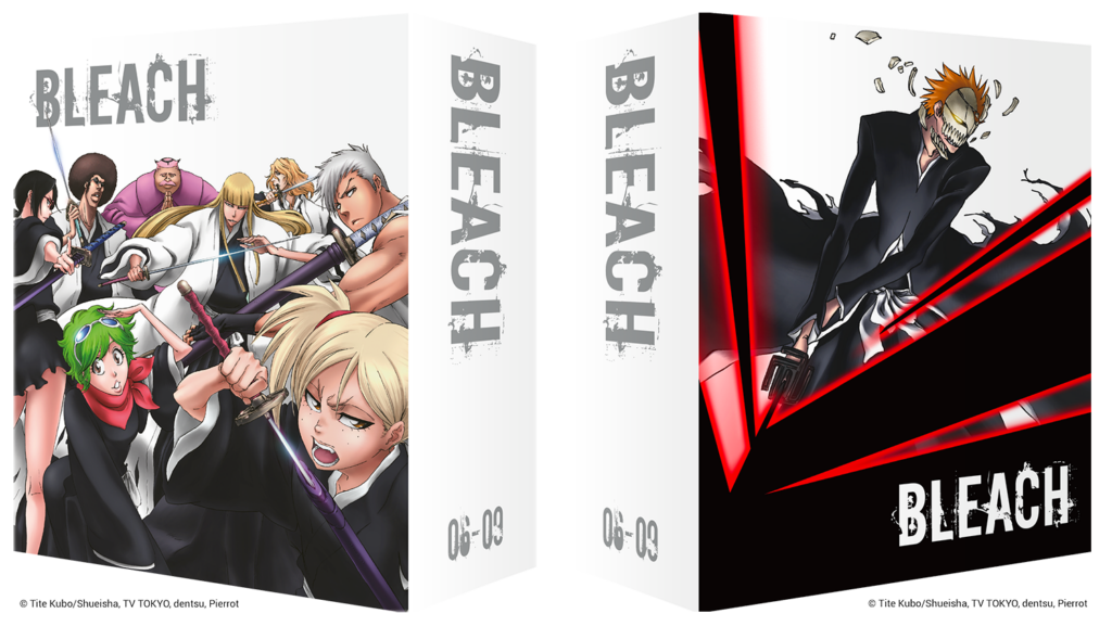 Bleach' Fans Are Getting a Treat This August