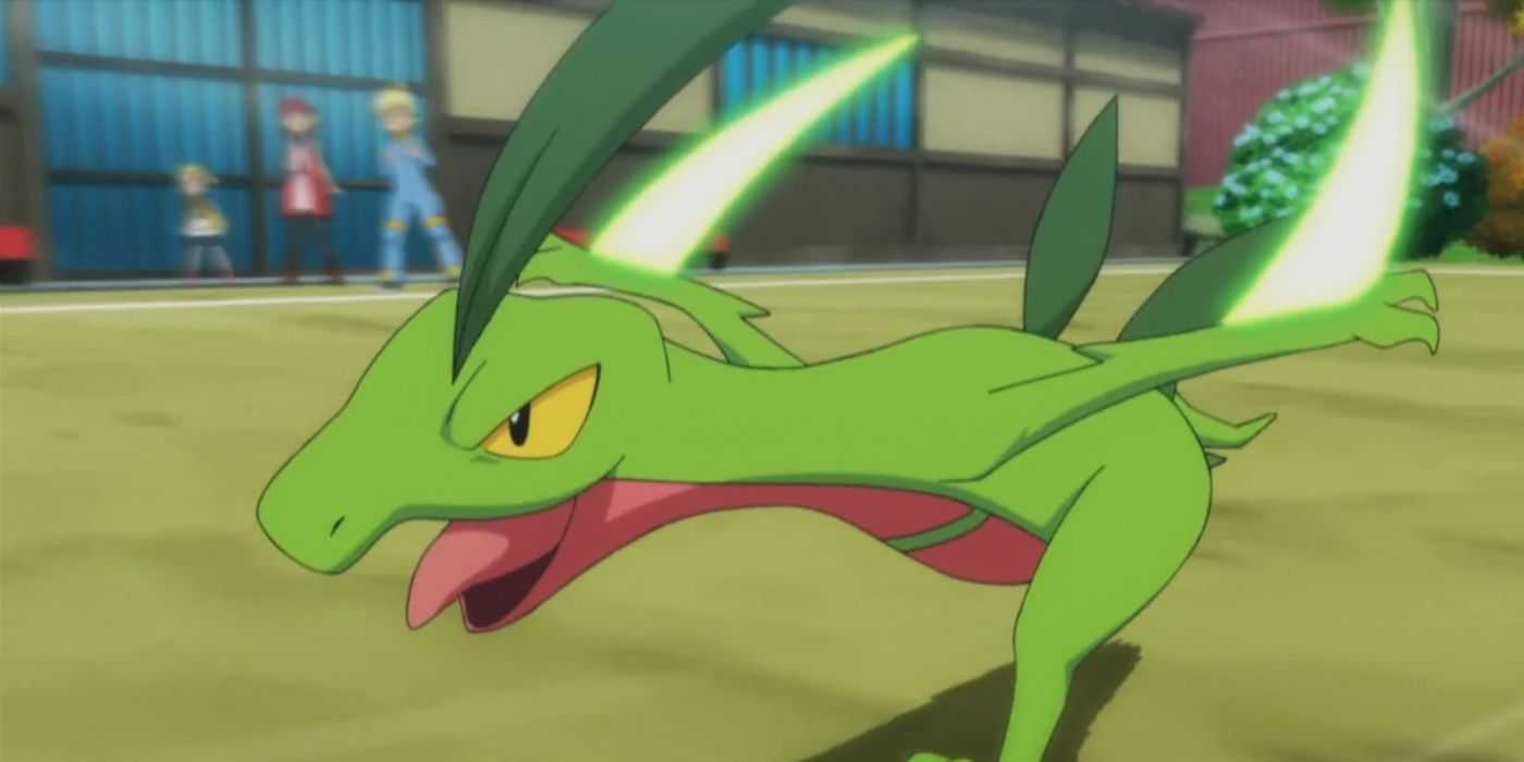Groveyle All 9 Grass-Type Starter Pokémon, Ranked
