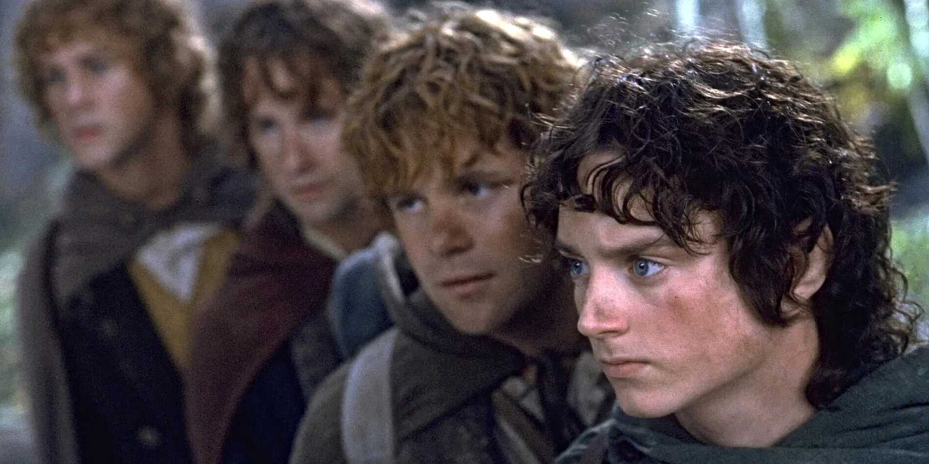 Frodo, Sam, Pippin and Merry, stand in a row, looking intently at something in Lord of the Rings: The Fellowship of the Ring.