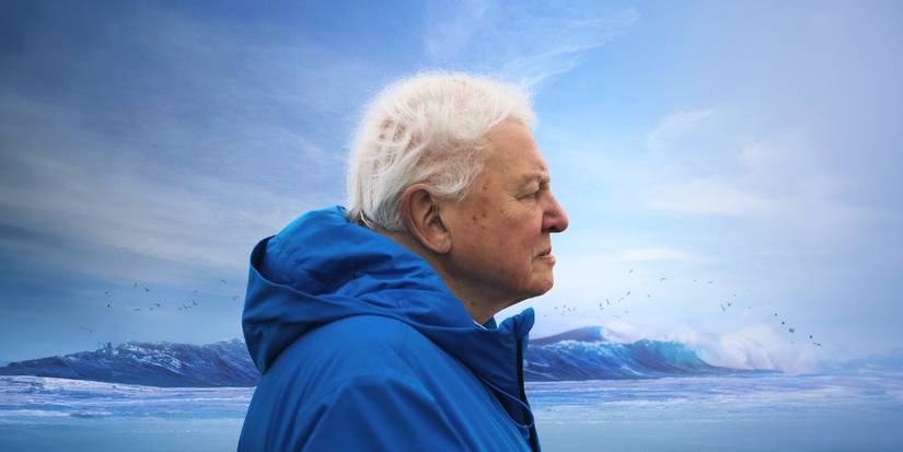 David Attenborough for his Ocean documentary 