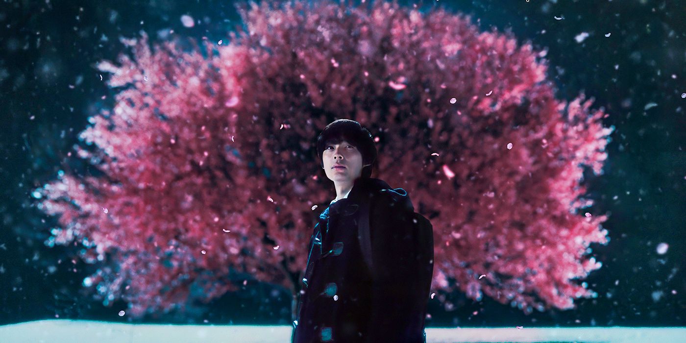 Live-Action Anime Adaptation That “Deeply Moved” Makoto Shinkai Gets Its  First Poster