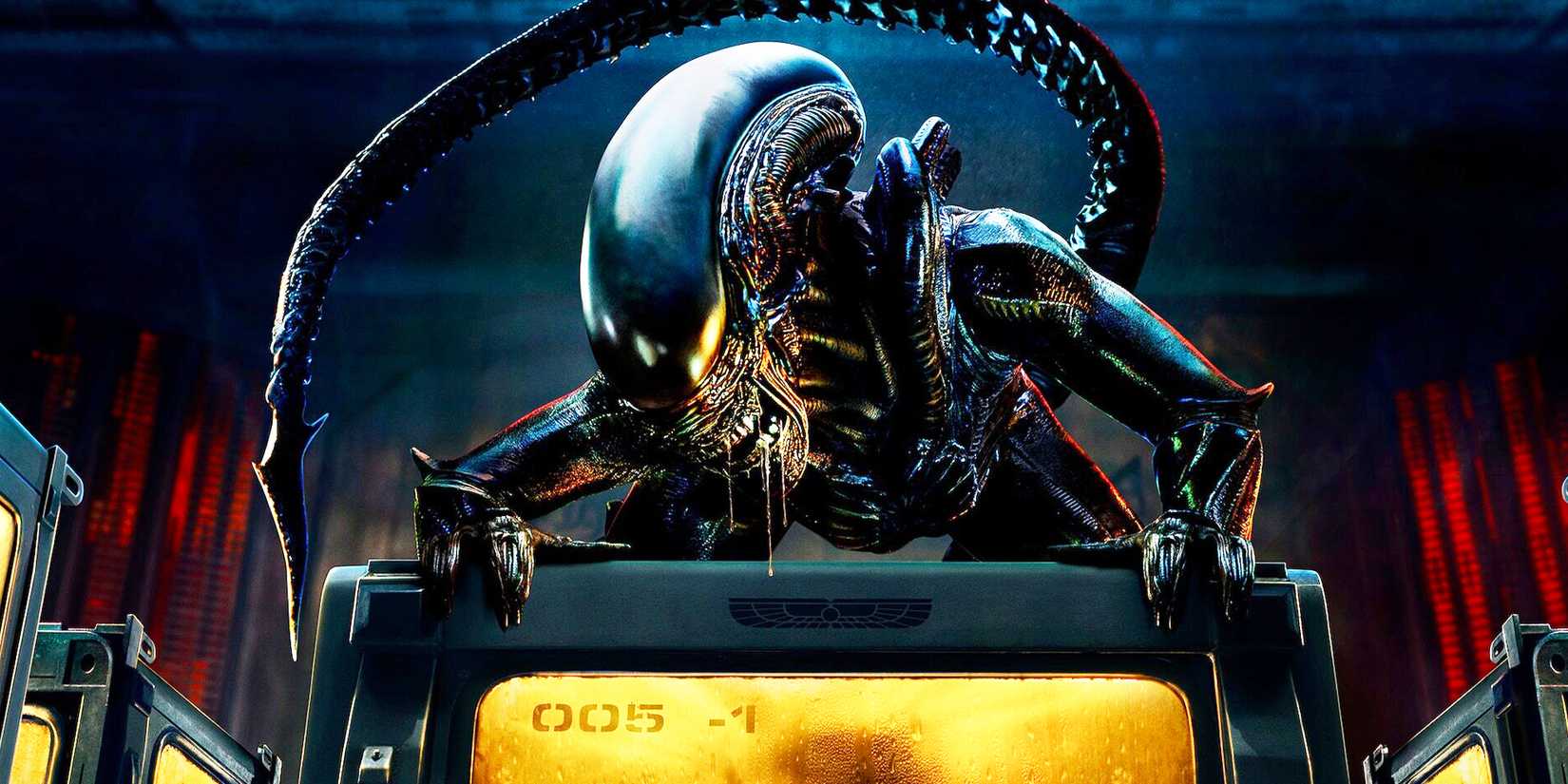 The Xenomorph in 'Alien: Earth.'