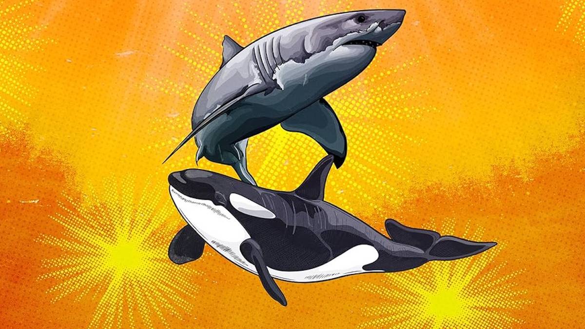 Shark Week Just Settled a 50-Year Movie Monster Feud Between the Jaws ...