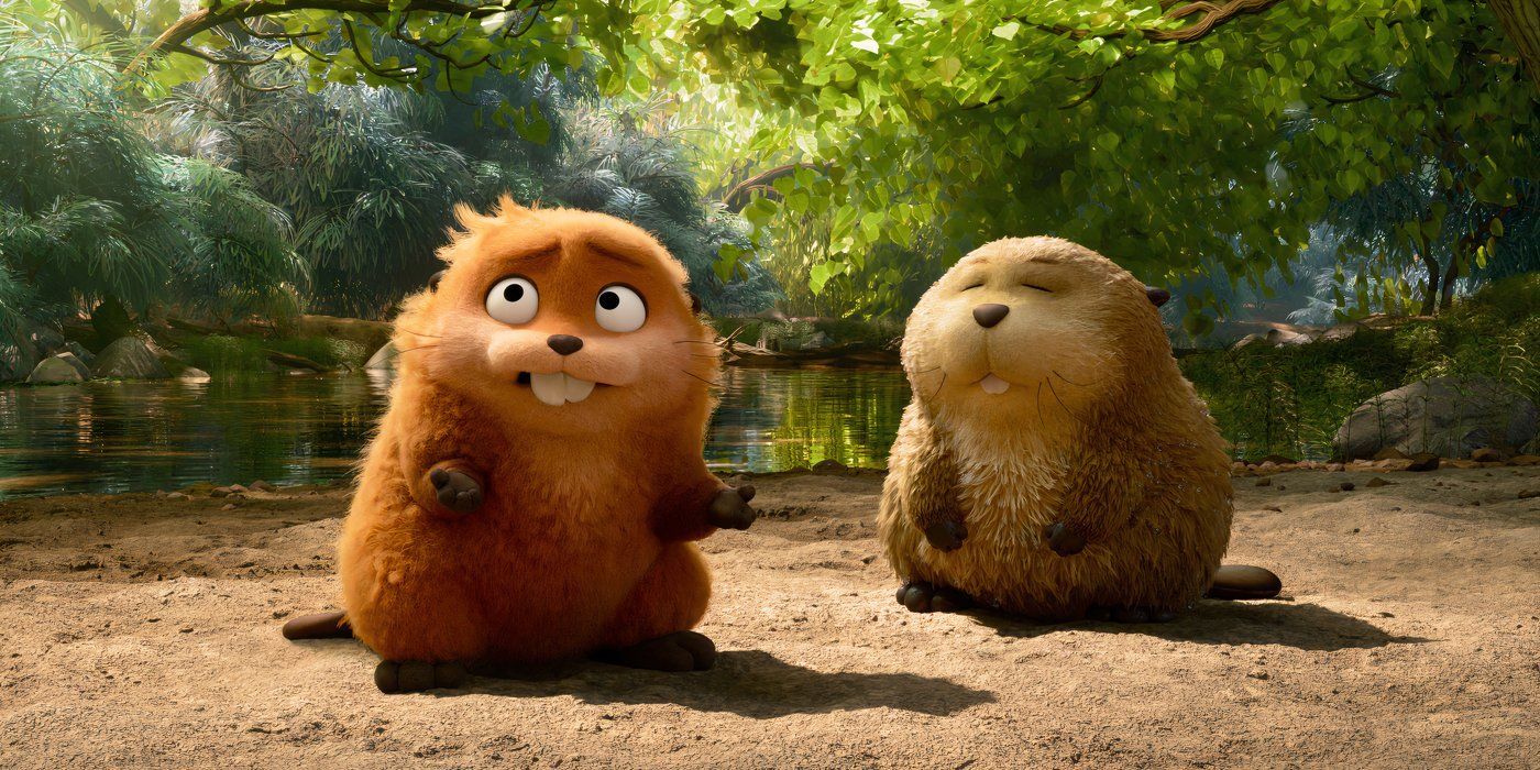 A pair of beavers sitting in the woods in Hoppers