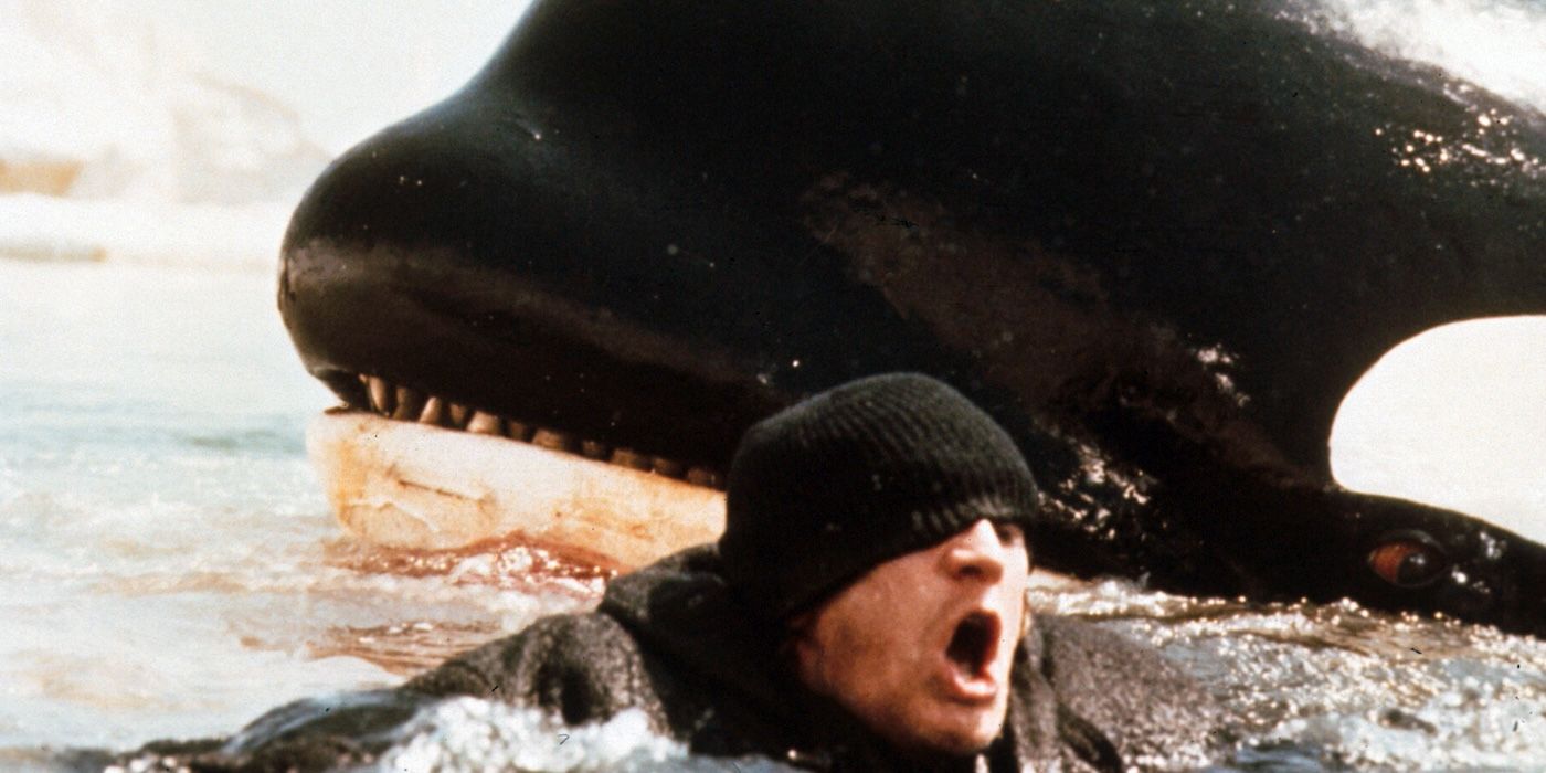 Orca Vs Jaws A Fight 41 Years In The Making Nightmare