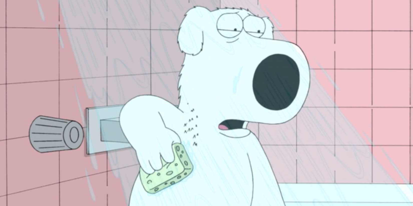 'Family Guy' Season 24 Is Finally Giving Fans the Moment They've Been ...