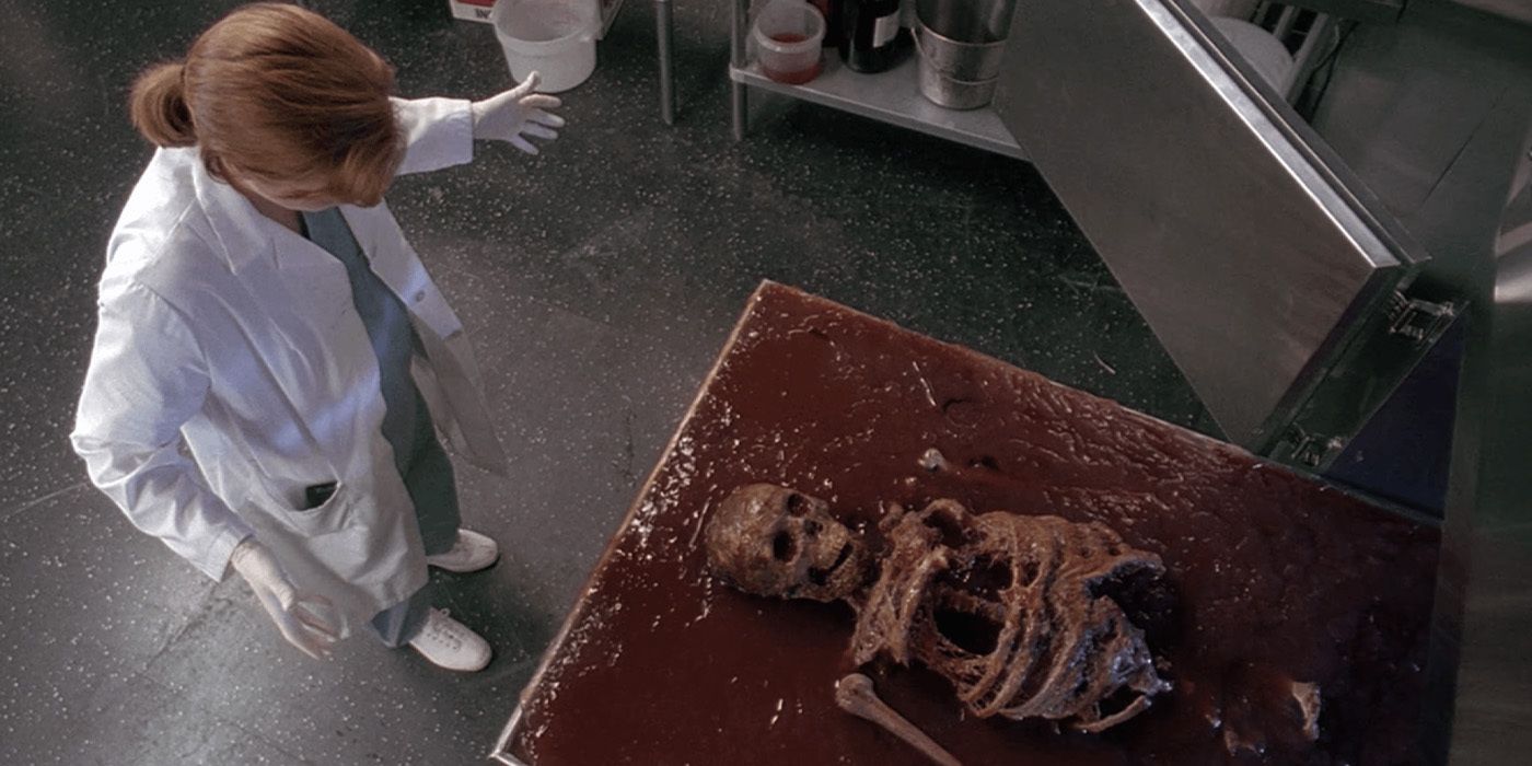 Gillian Anderson's Scully examining a skeleton in The X-Files