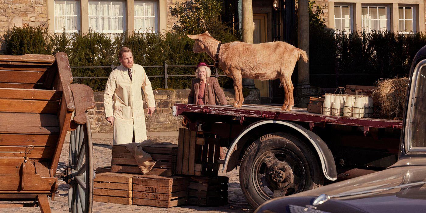 'All Creatures Great and Small' Season 6 Review: The PBS Historical War ...