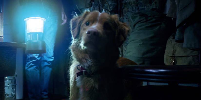 Someone stands behind Indy with a lantern in 'Good Boy'
