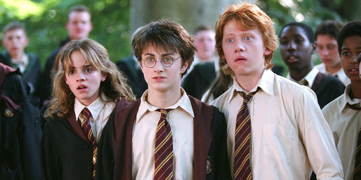 HBO's Harry Potter Series Is Already Correcting the Movies' Biggest Mistake in Forgetting This Book Character