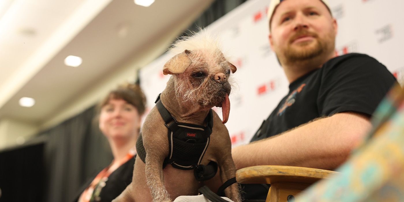 Peggy the Dog at FAN EXPO Canada 2025