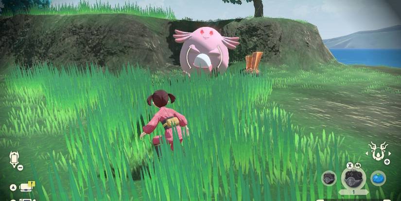 Player sneaking past alpha Chansey in Pokemon Legends Arceus