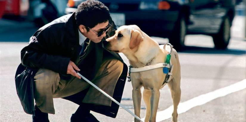Kaoru Kobayashi as Mitsiru Watanabe with his dog Quill on the road in Quill: The Life of a Guide Dog