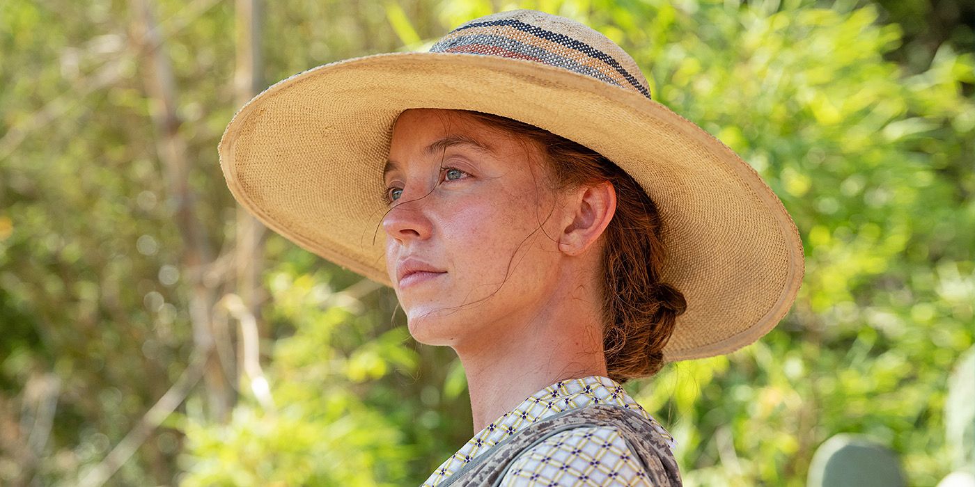 Sydney Sweeney and Ana De Armas' New True Crime Thriller Has Made Only $36 Per Theater