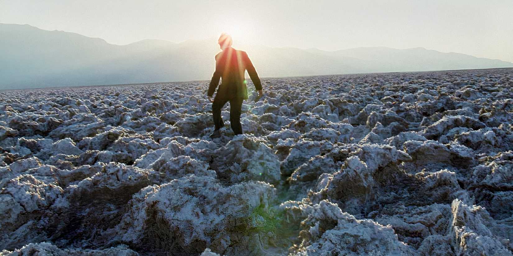 A man walking in The Tree of Life