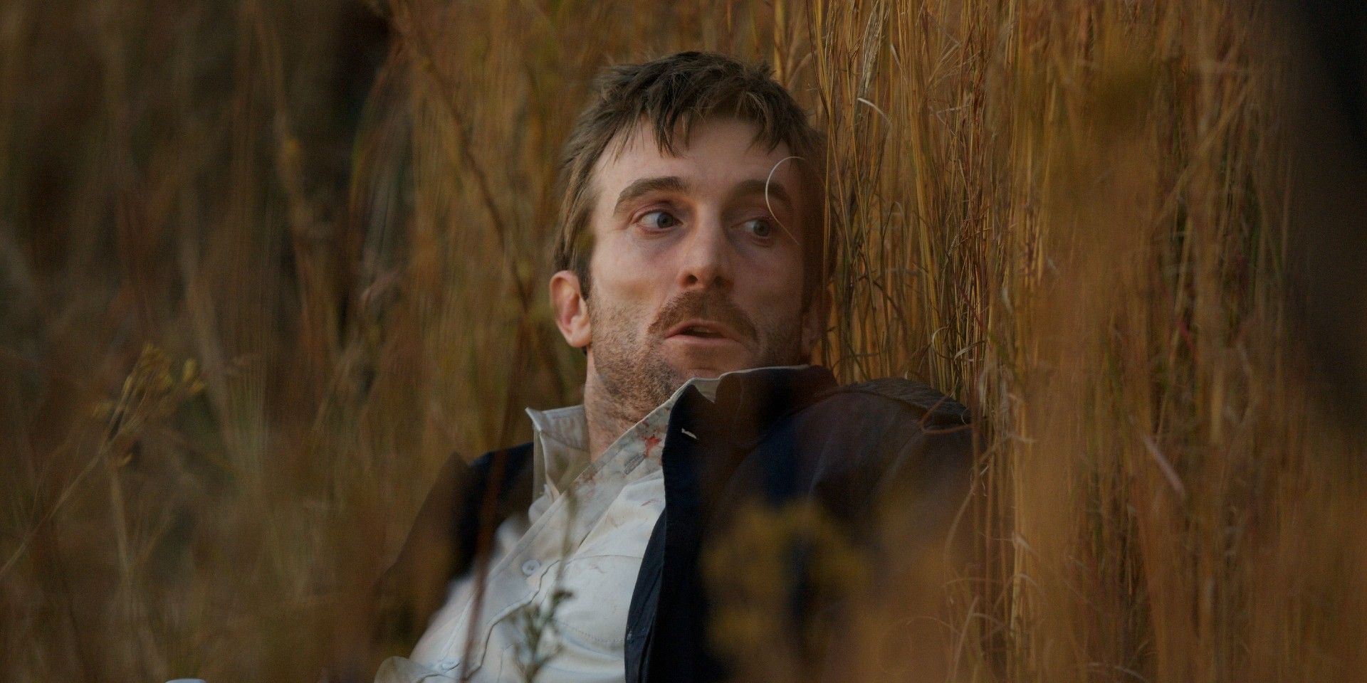 With No Sequel in Sight, This Oscar-Winning Sci-Fi Satire Lands on a New Streaming Service Soon